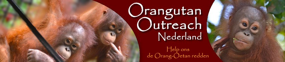 oerangutan outreach